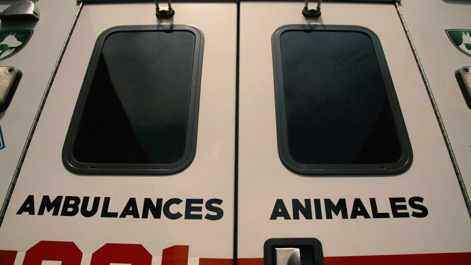 Ambulances animales backdrop