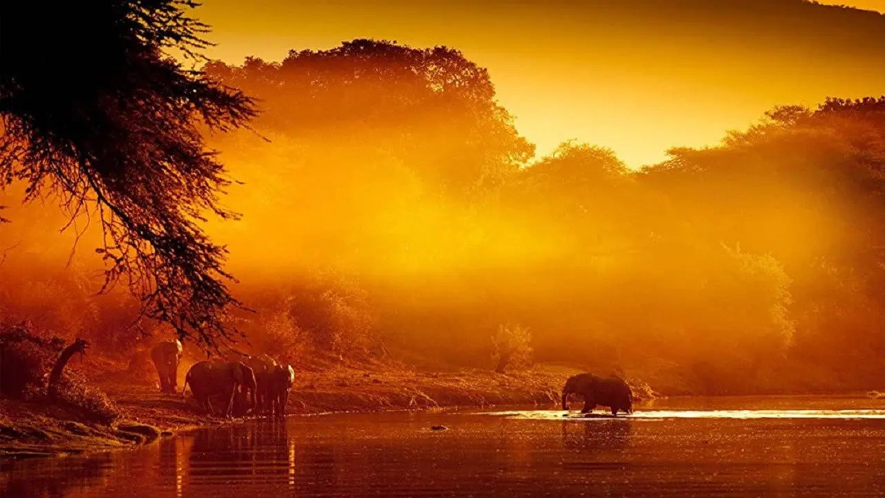 Zambezi: Force of Life backdrop