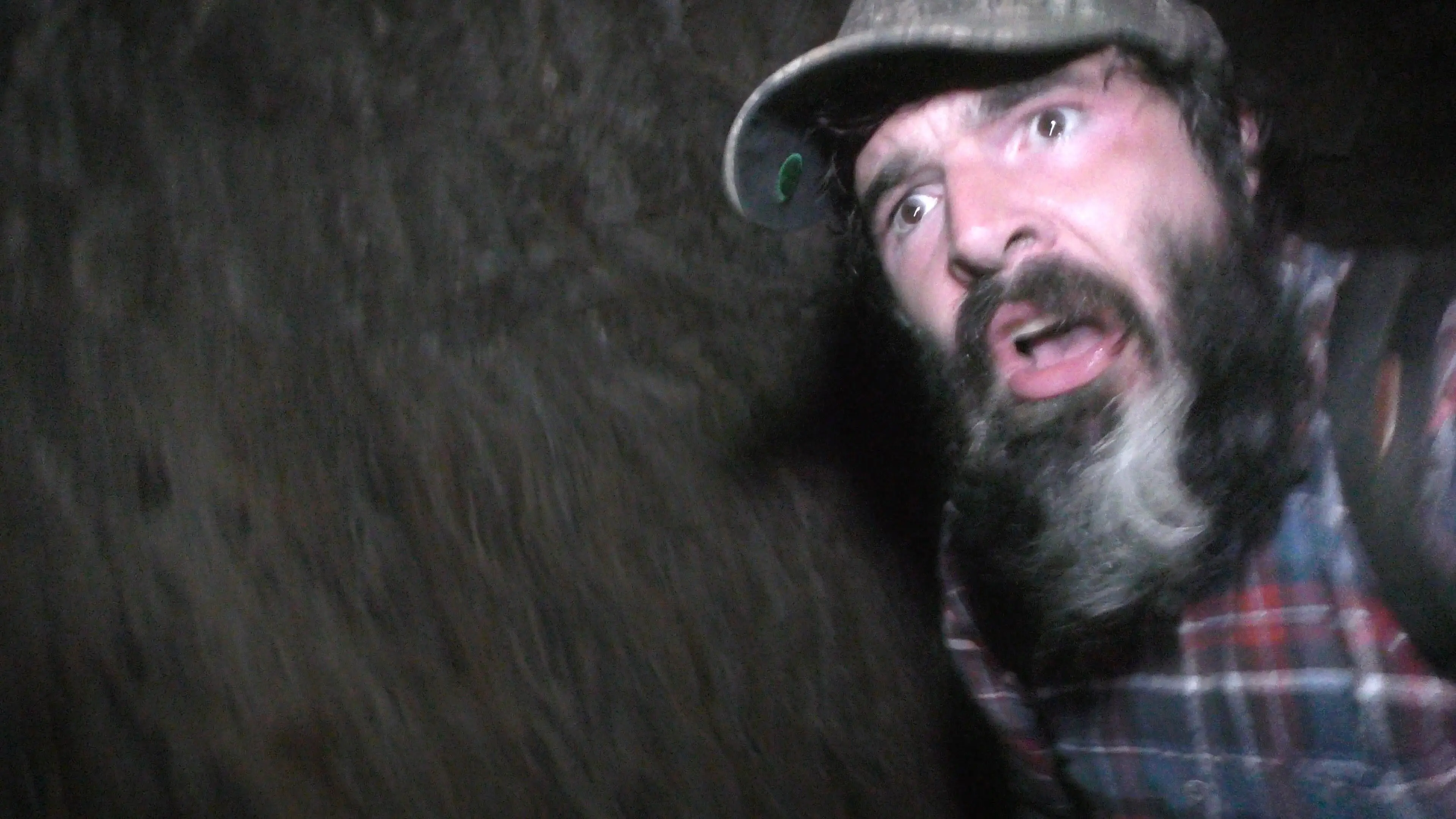 Wilderness Tapes: Volume One backdrop