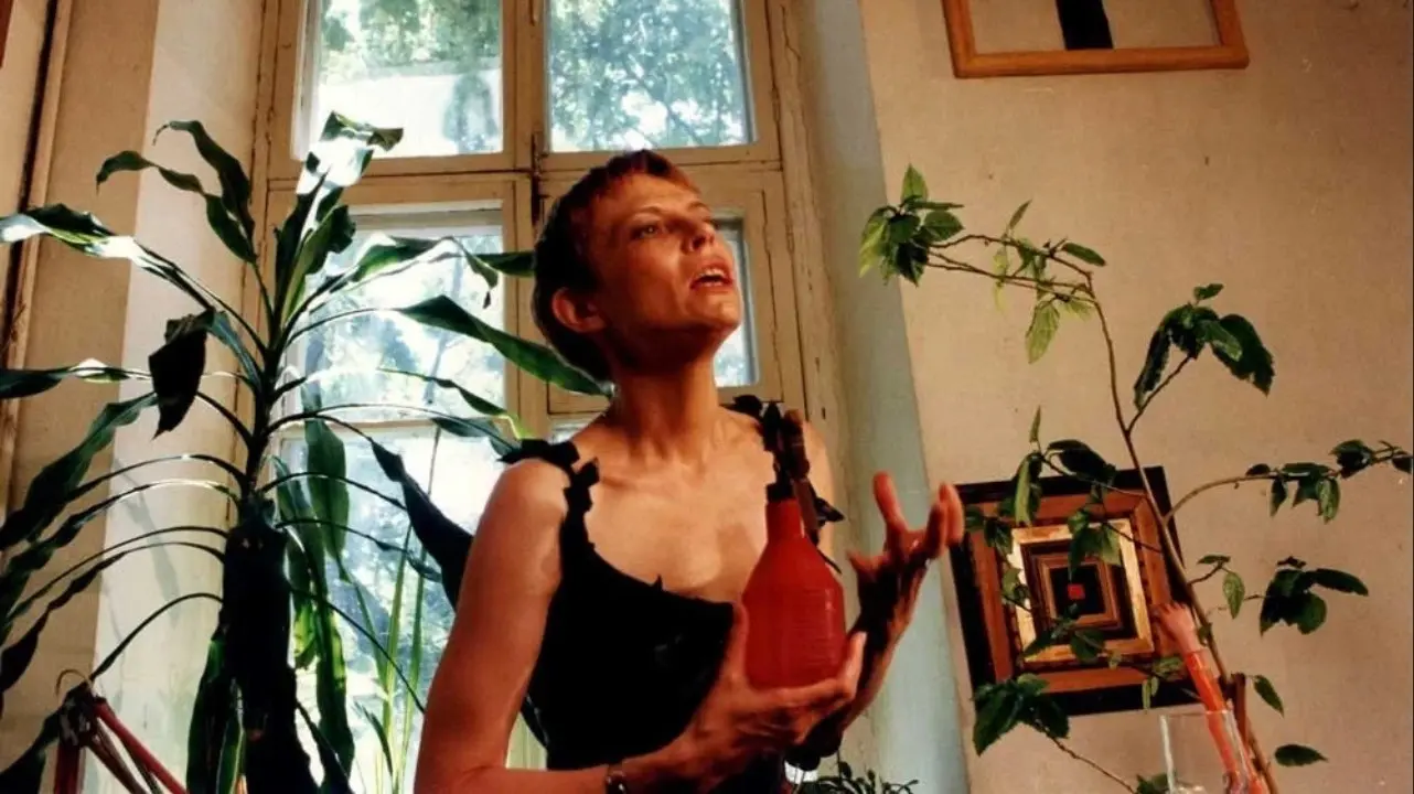 Letter to America backdrop