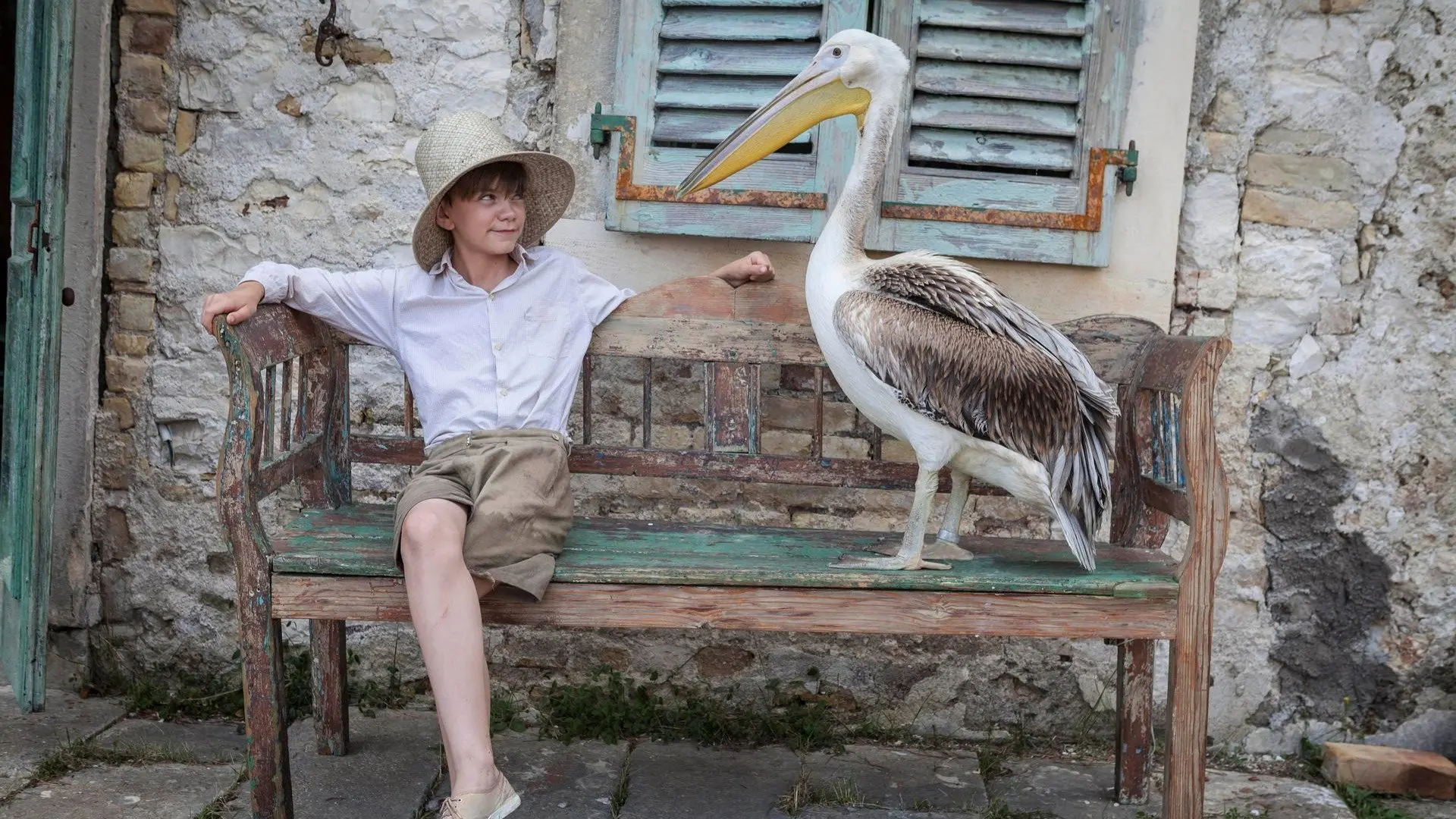 The Durrells backdrop