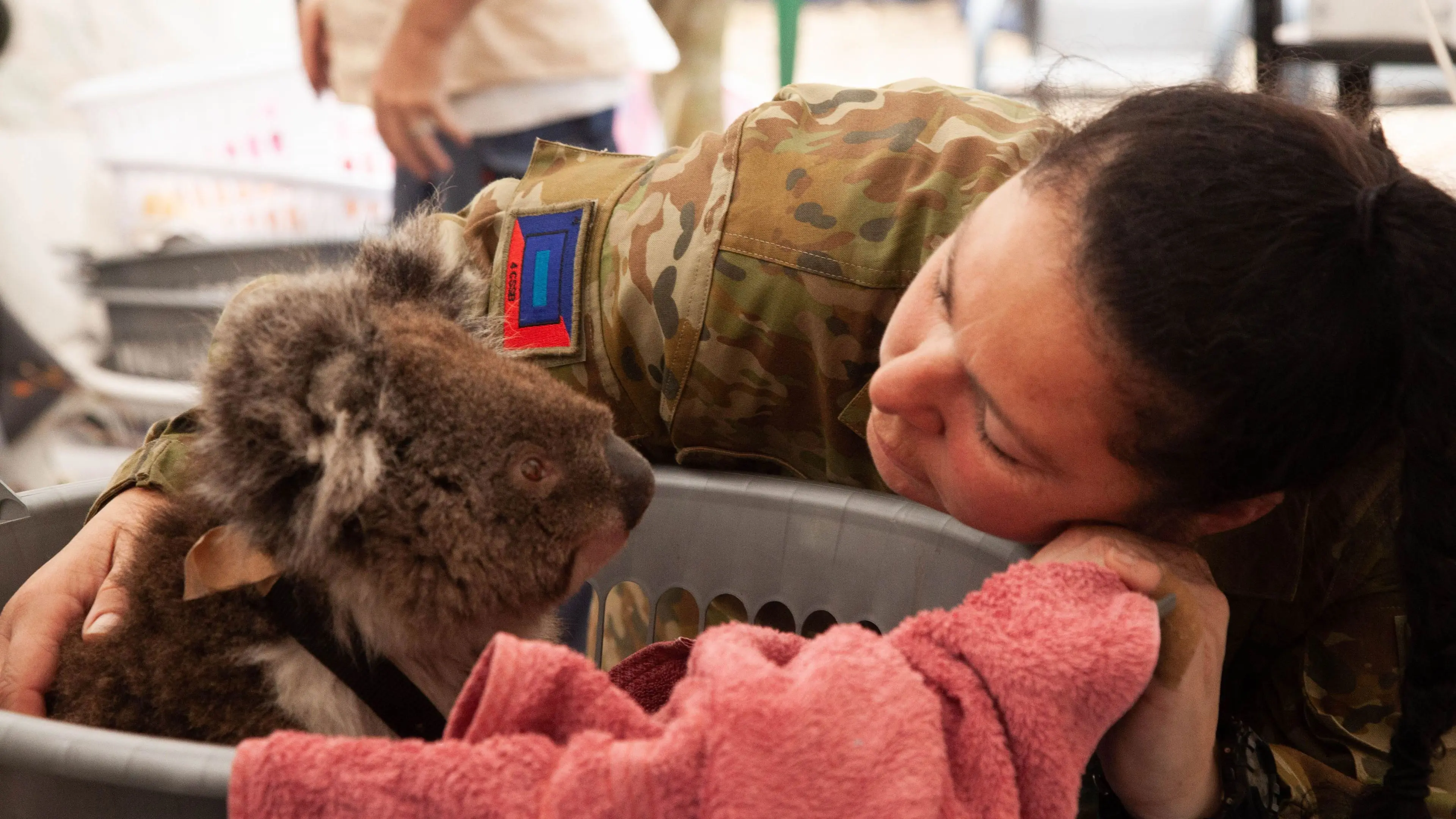 Bushfire Animal Rescue backdrop