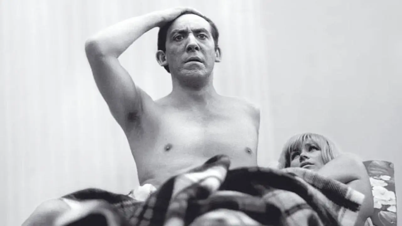 Several Times Daily backdrop