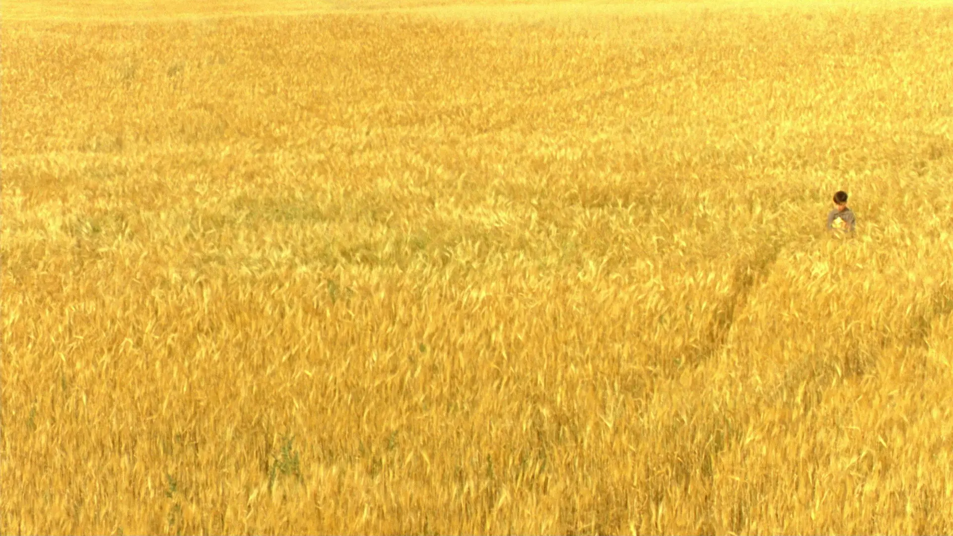 The Reflecting Skin backdrop