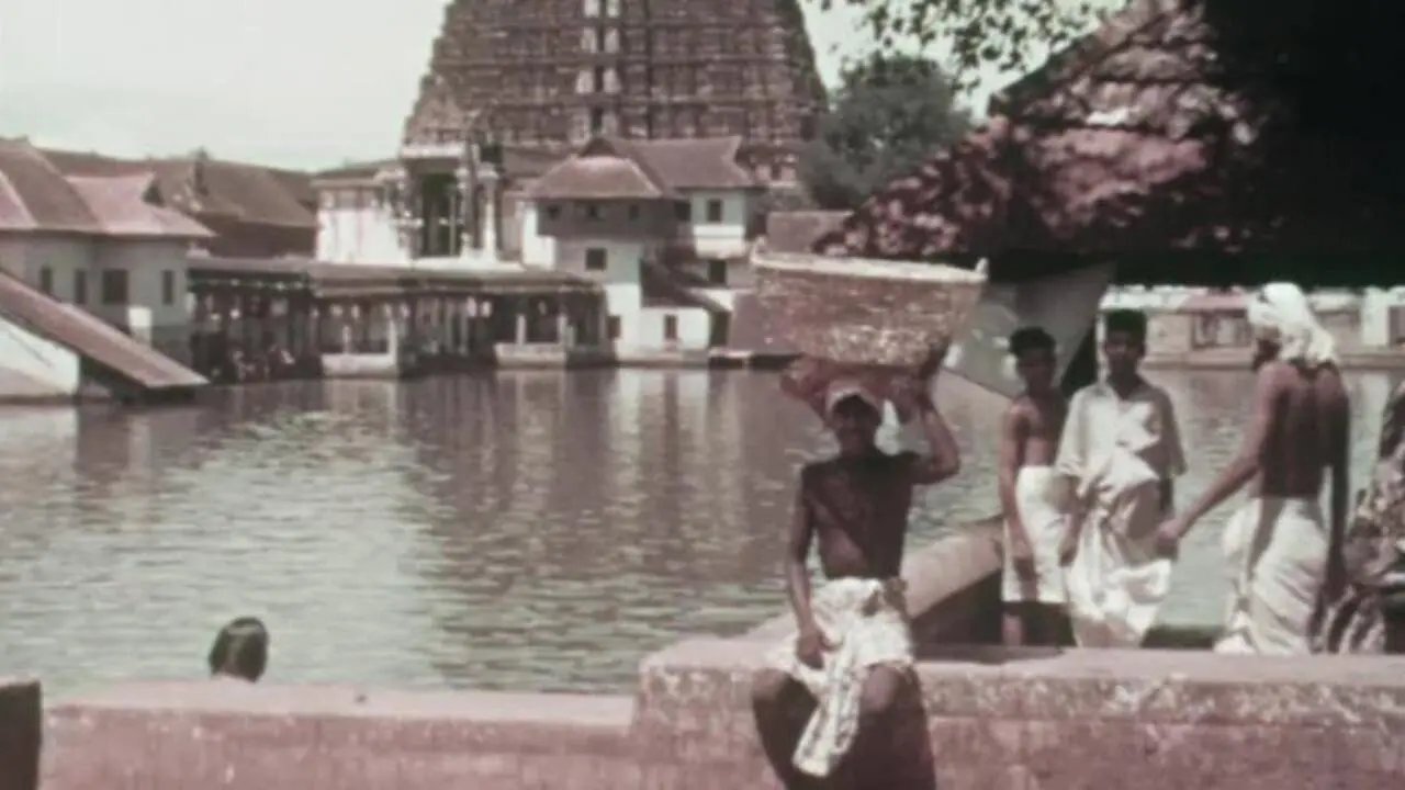 Street Scenes in India backdrop
