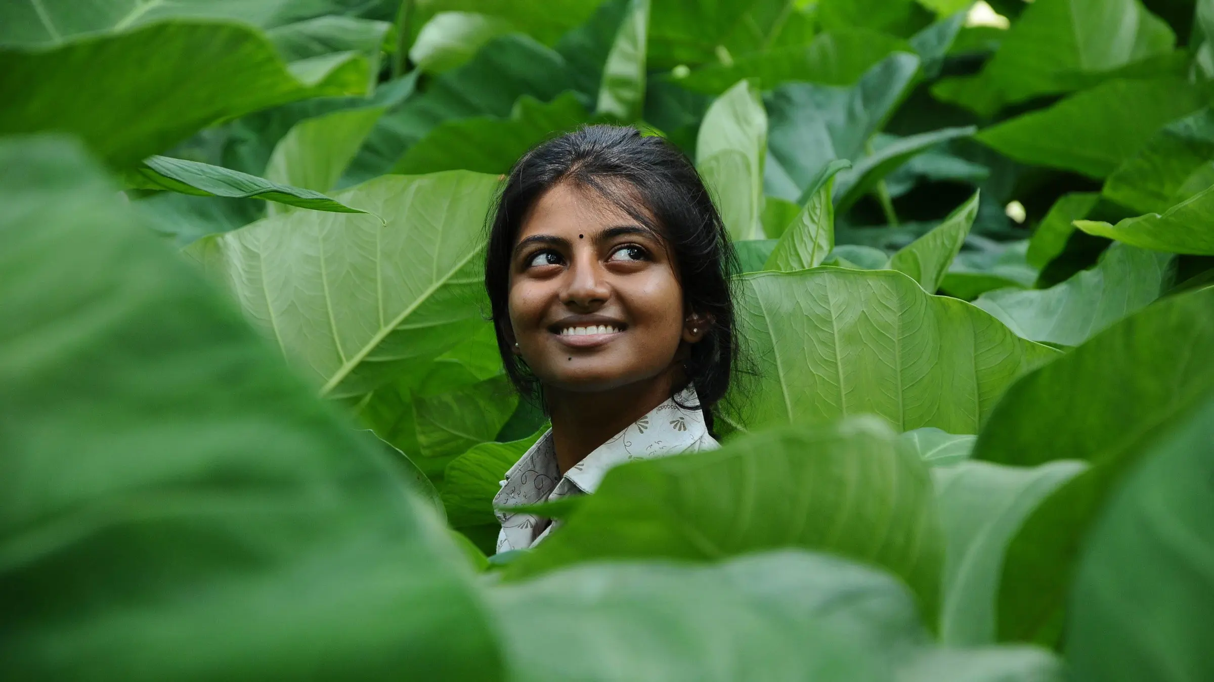 Kayal backdrop