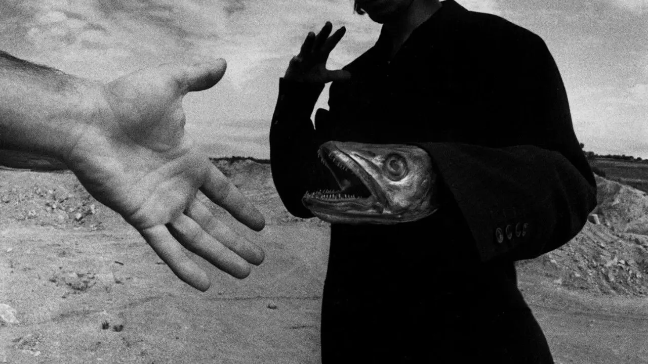 One Minute for One Image backdrop