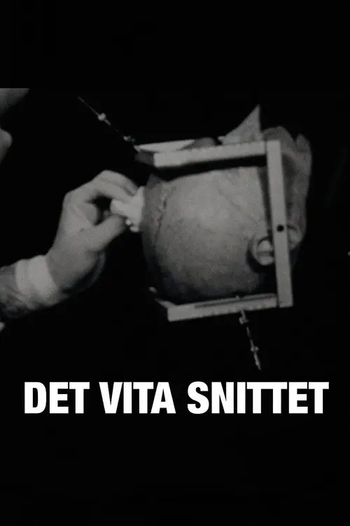 Det vita snittet