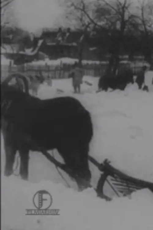 The Great Blizzard in the Baltics in December