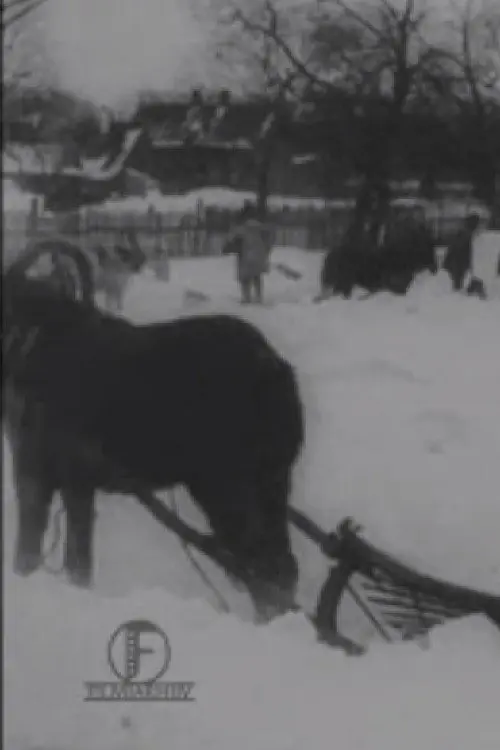 The Great Blizzard in the Baltics in December