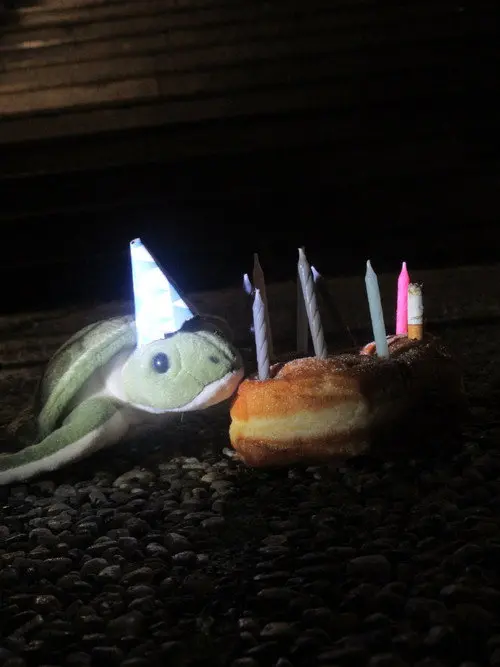 Donut Do It!