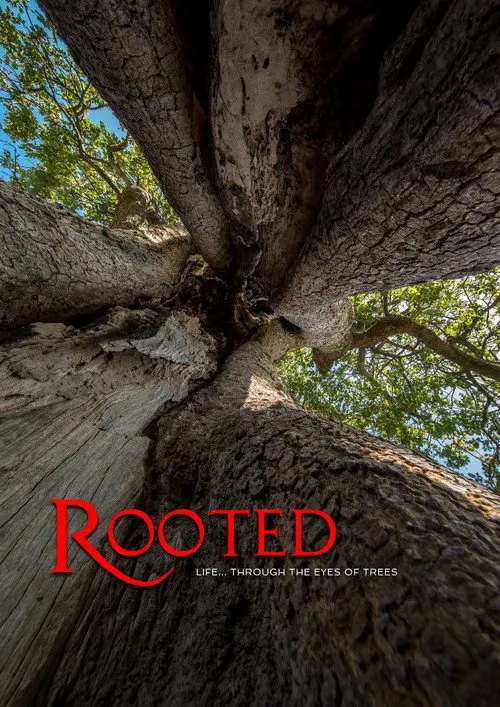 Rooted