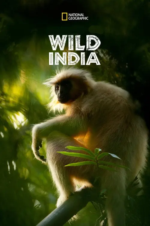Wild India