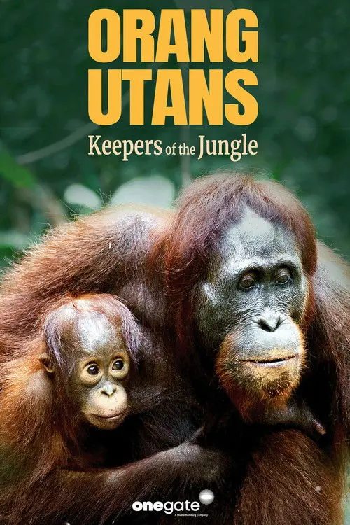 Orang Utans - Keepers of the Jungle