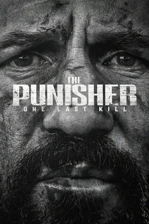 The Punisher: One Last Kill