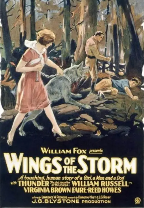 Wings of the Storm
