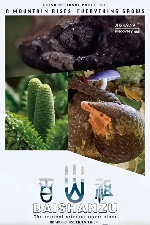 Baishanzu: The Mysterious Realm
