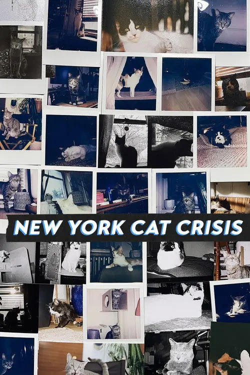 New York Cat Crisis