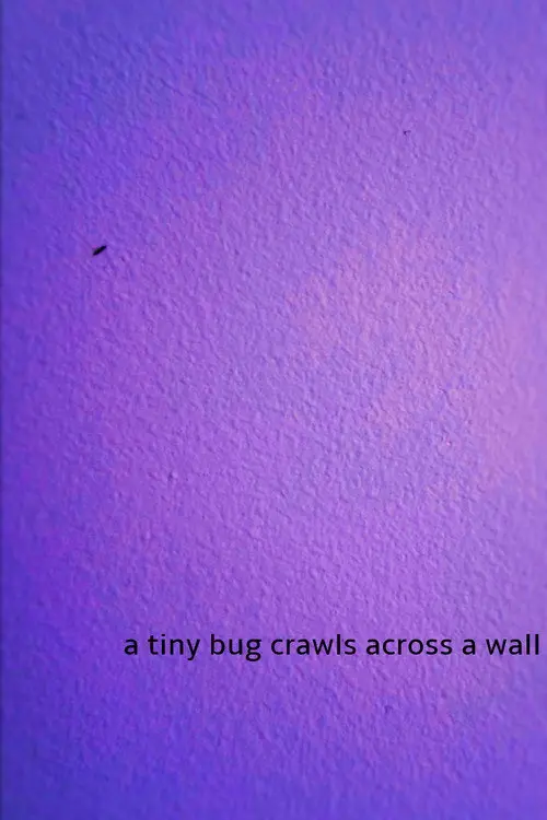 a tiny bug crawls across a wall