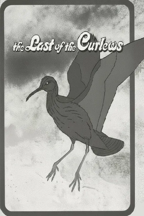 The Last of the Curlews