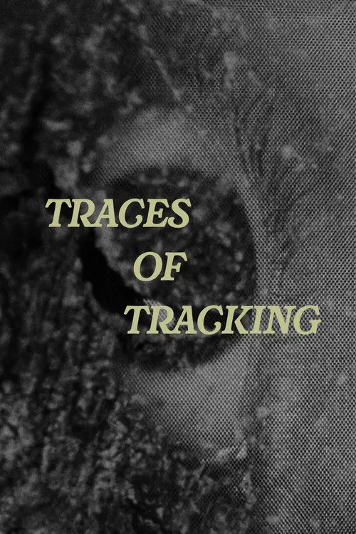 Traces of Tracking