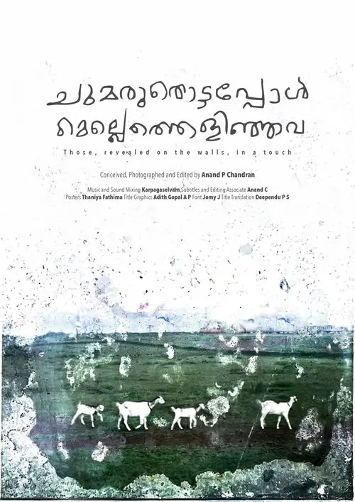 Those, revealed on the walls, in a touch