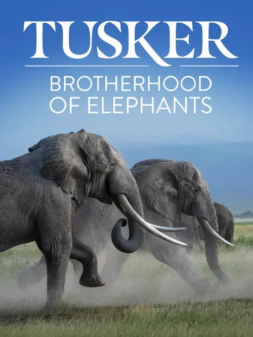 Tusker: Brotherhood of Elephants