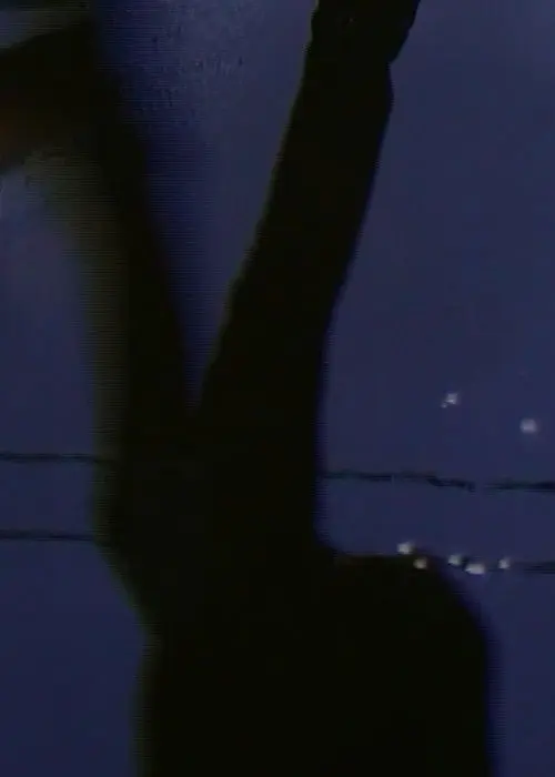 [W I N G S O F L O V E]