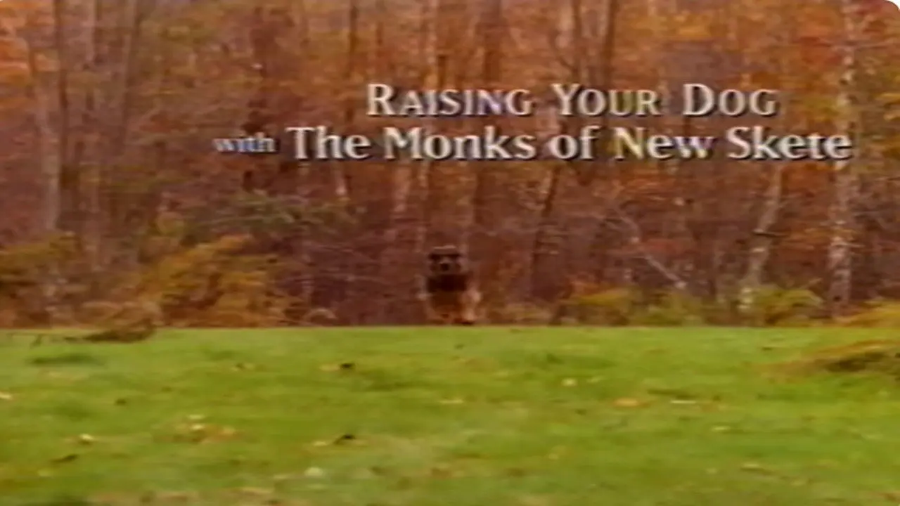 Raising Your Dog with the Monks of New Skete: Obedience - Working With Your Adult Dog backdrop