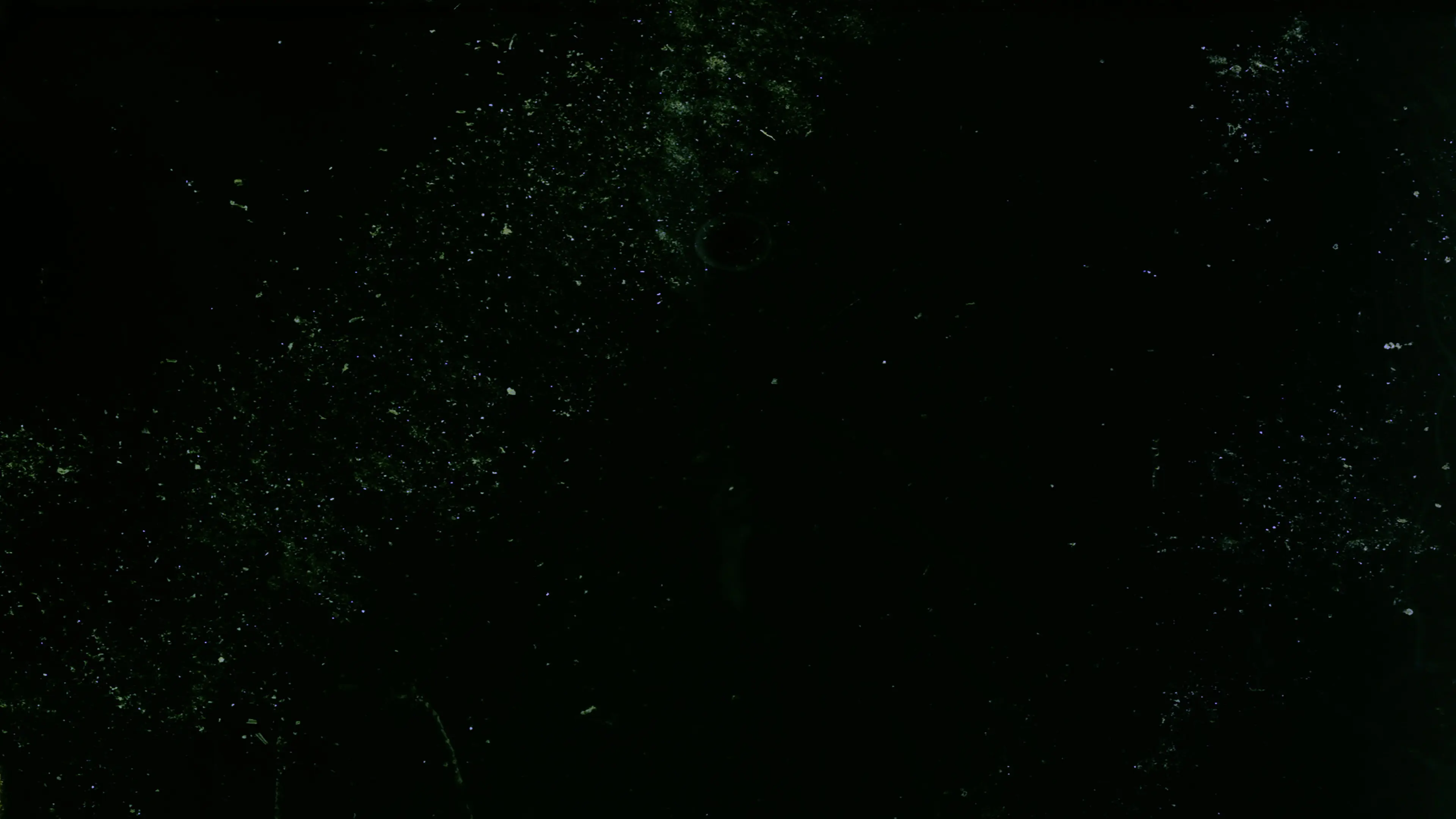 Here are some Images backdrop