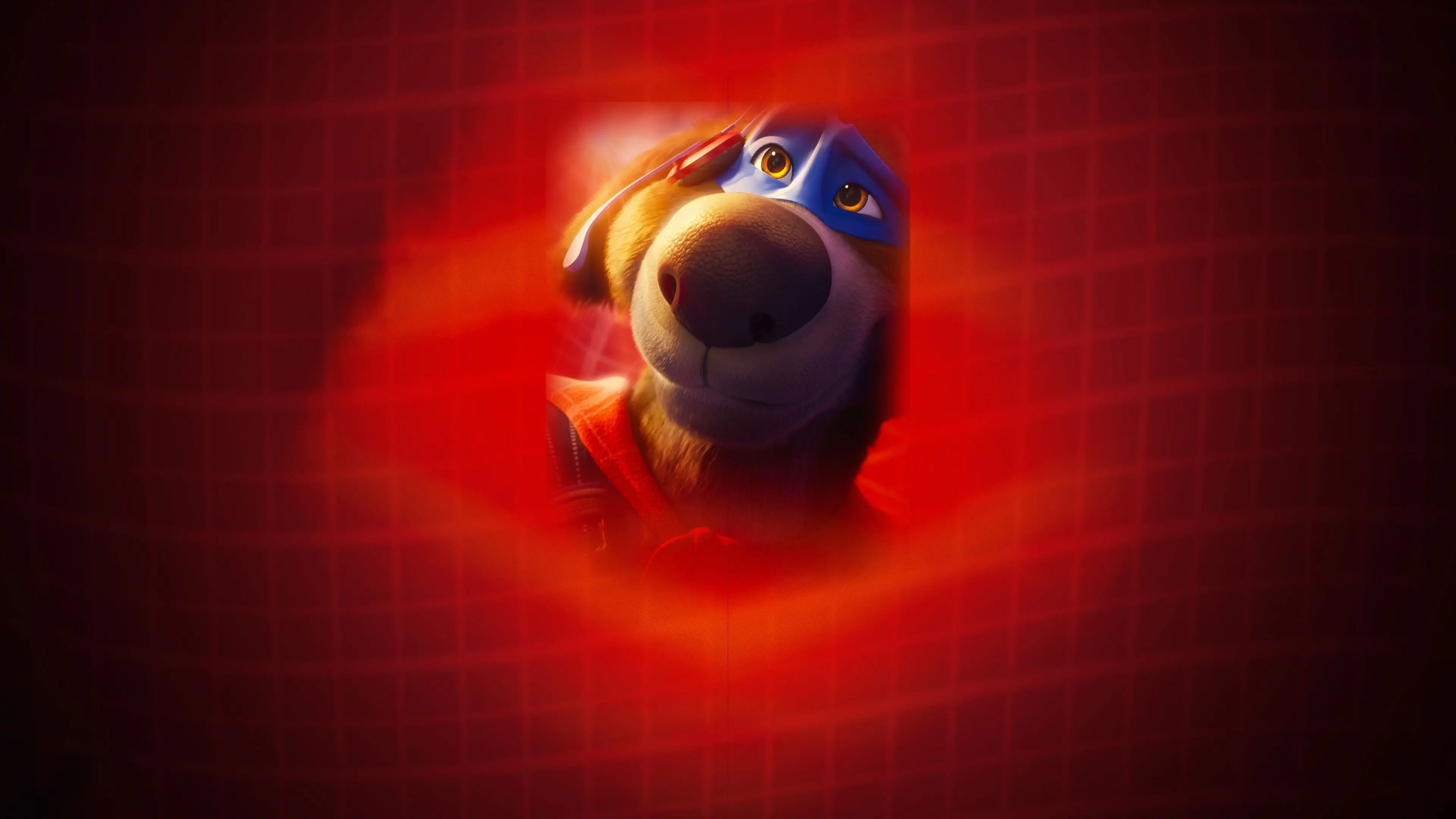 Charlie the Wonderdog backdrop