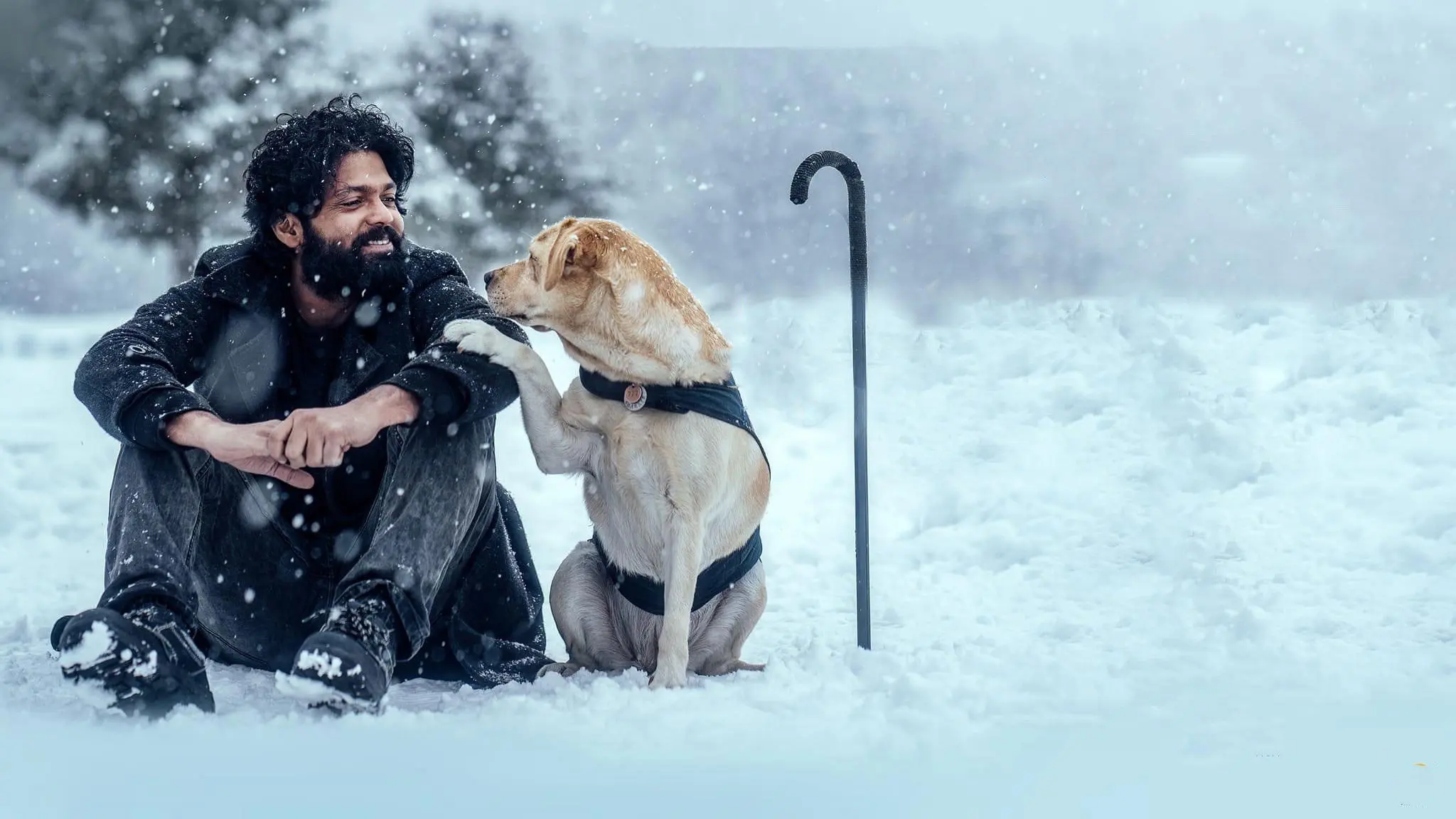 777 Charlie backdrop