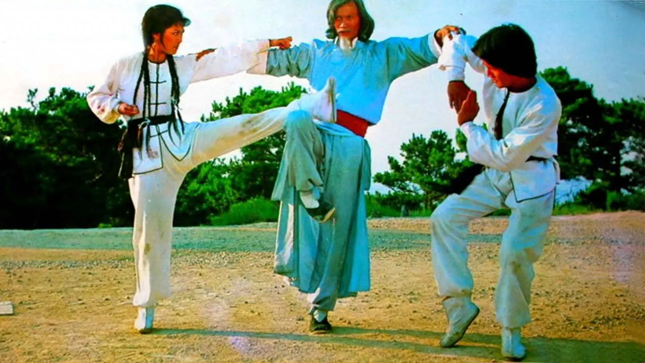 Twins of Kung Fu backdrop