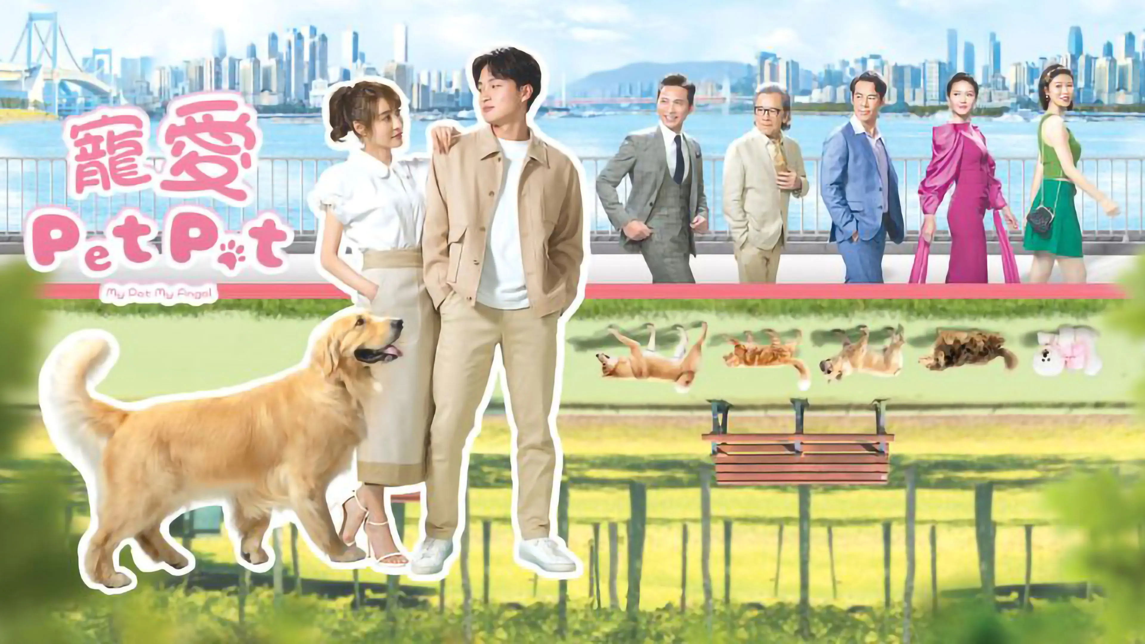 My Pet My Angel backdrop