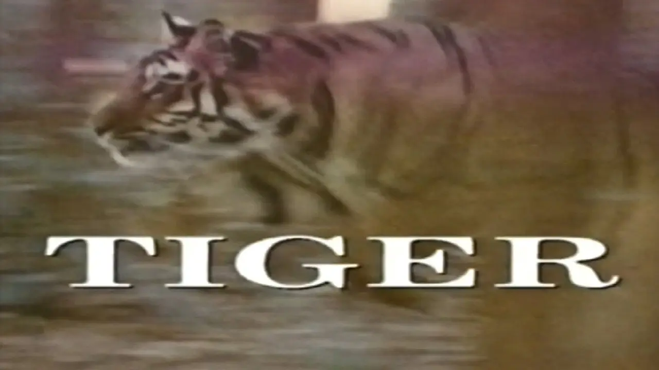 Predators of the Wild: Tiger backdrop