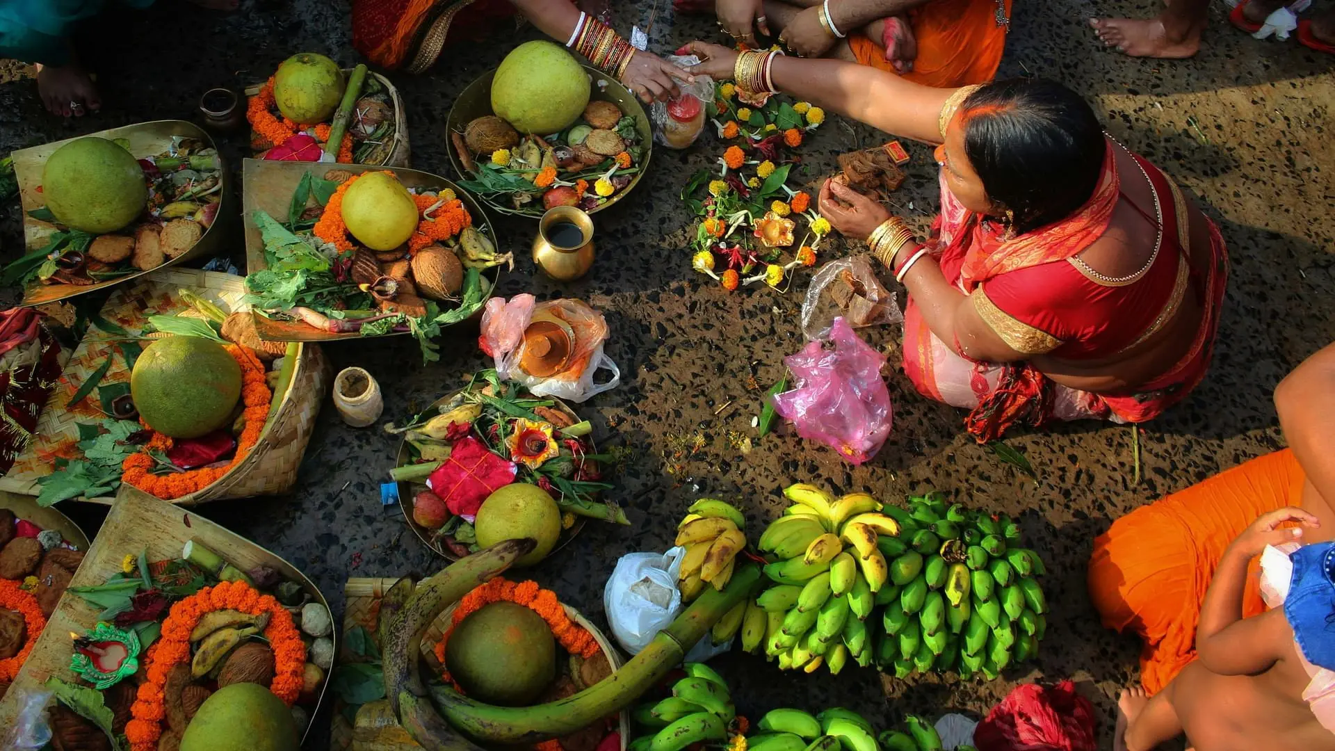 Vegetarians, The Great Odyssey backdrop