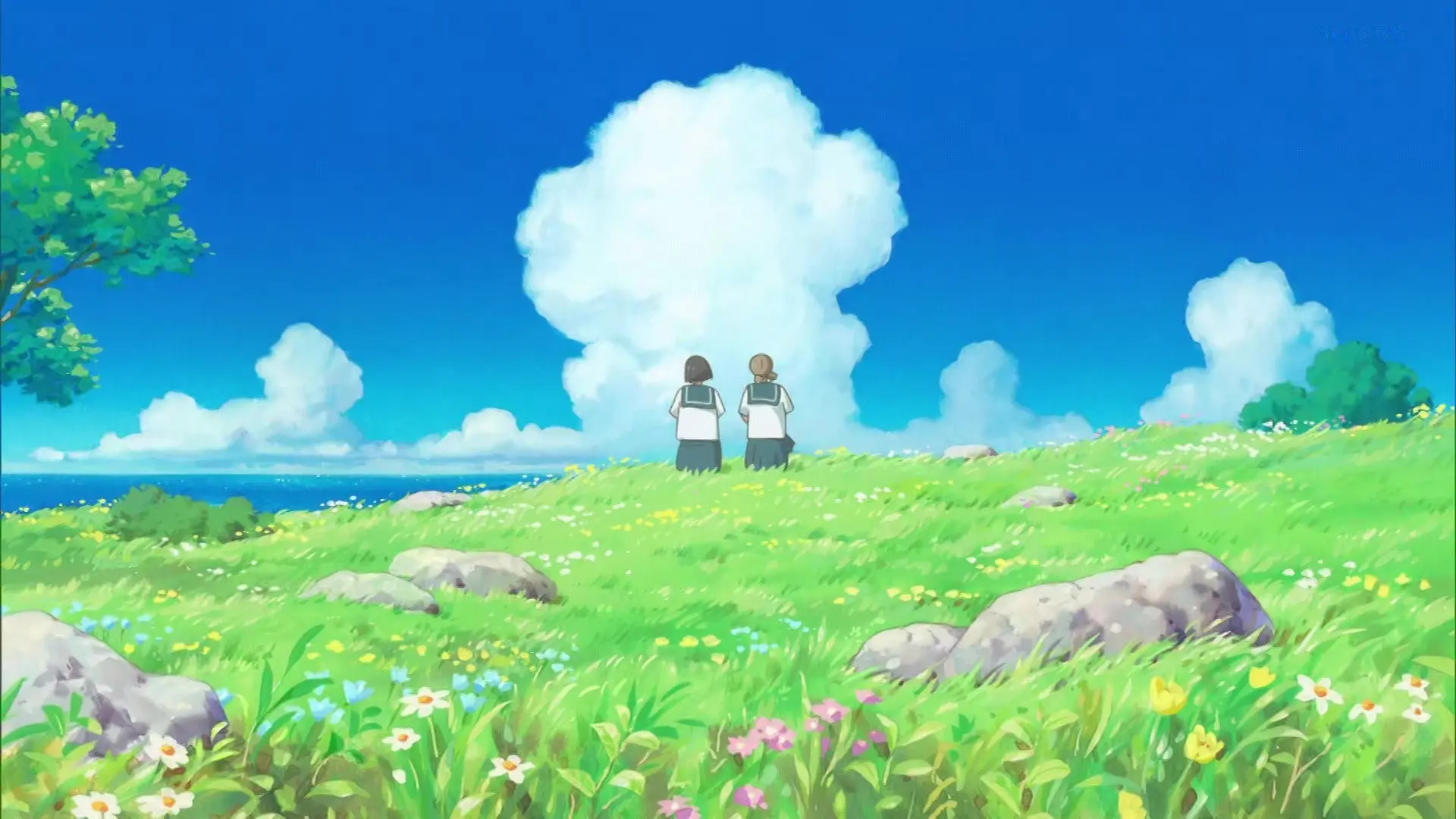 cocoon - One Summer of Girlhood backdrop