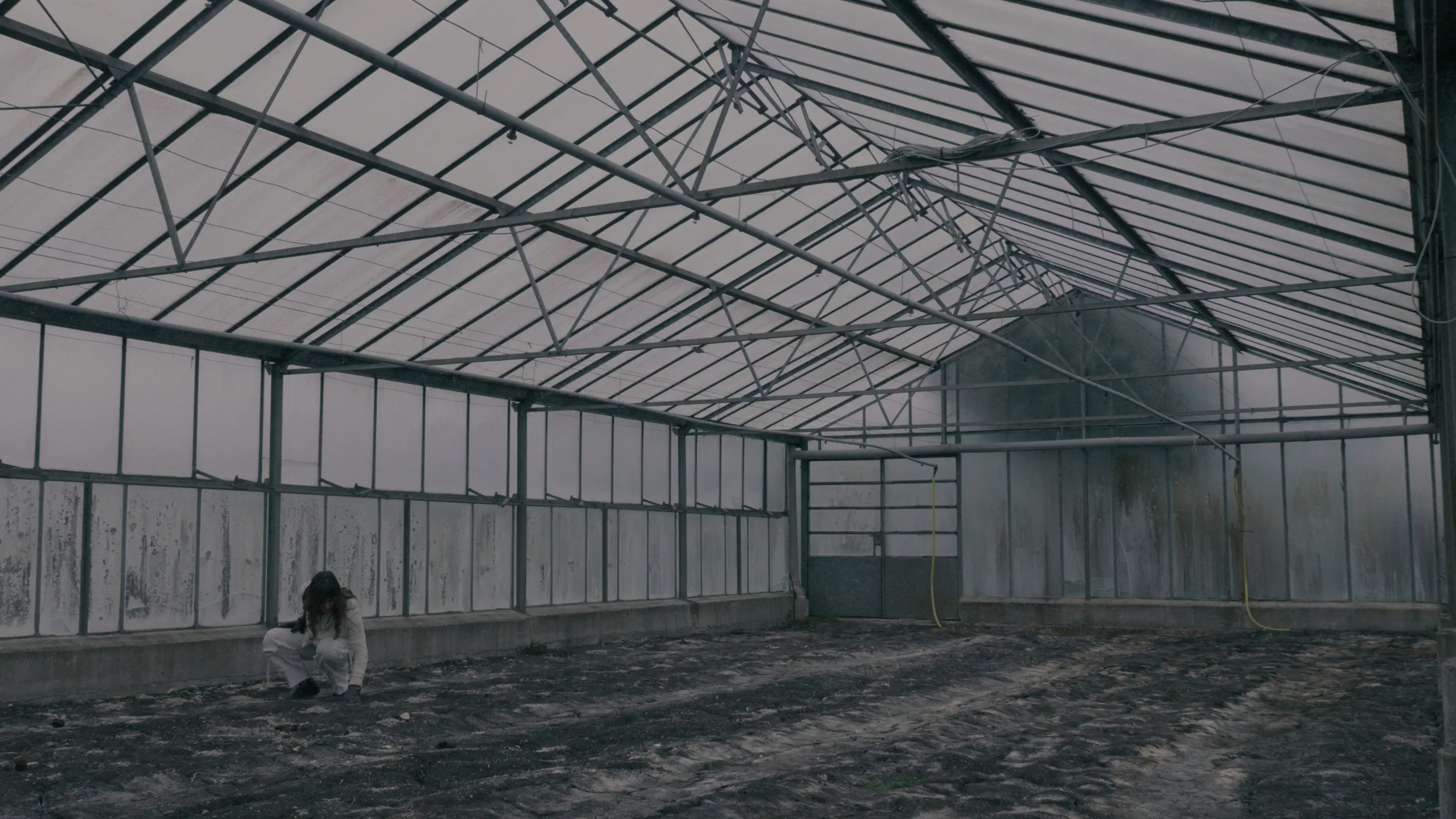 BLOOM - A Dystopian Short Film backdrop