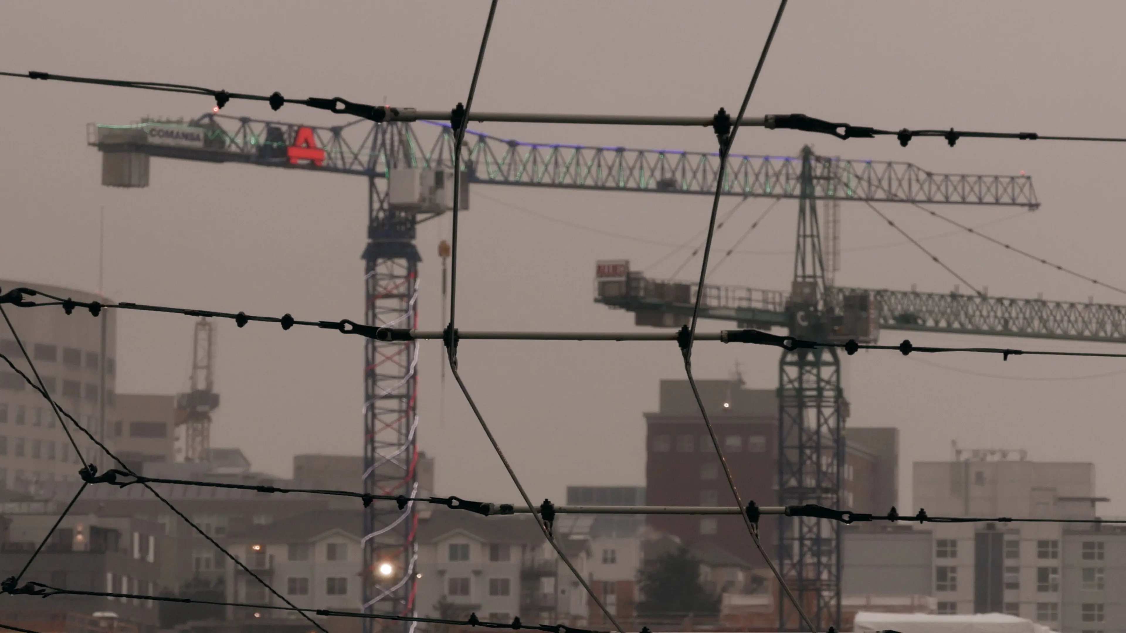 Sea of Cranes backdrop