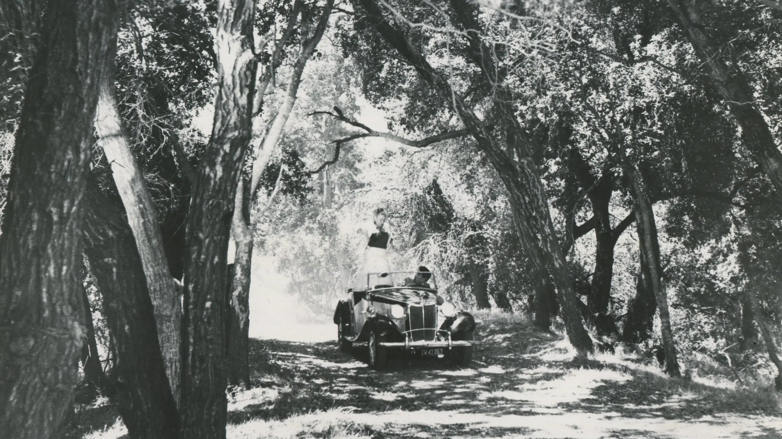 Marry Me Again backdrop