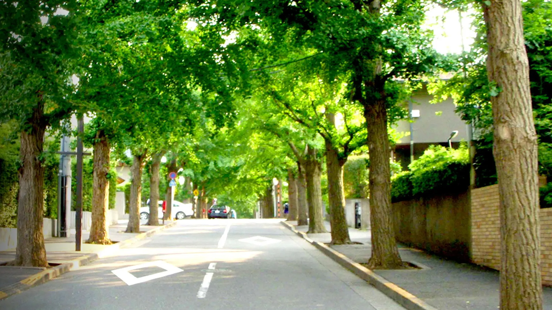 Zeroing In: Carbon Neutral 2050 backdrop