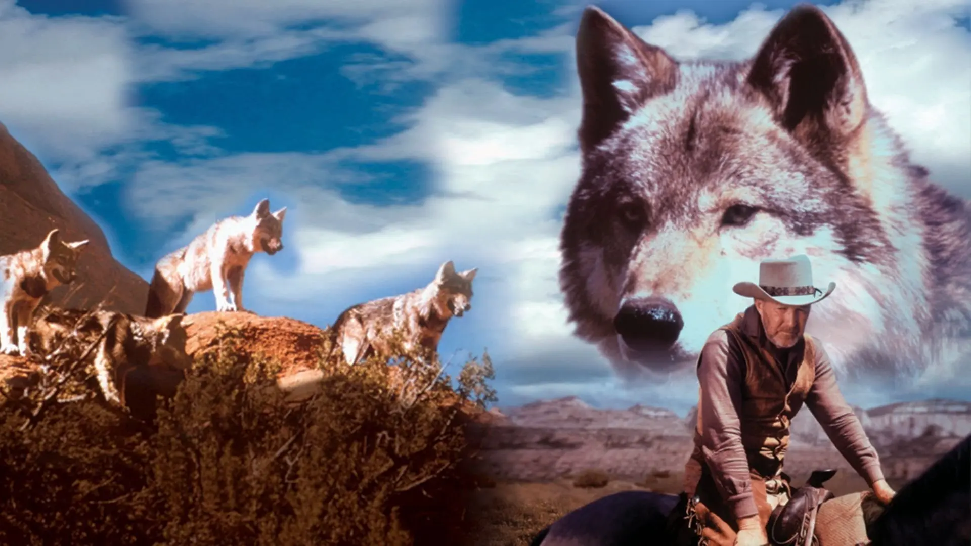 The Legend of Lobo backdrop