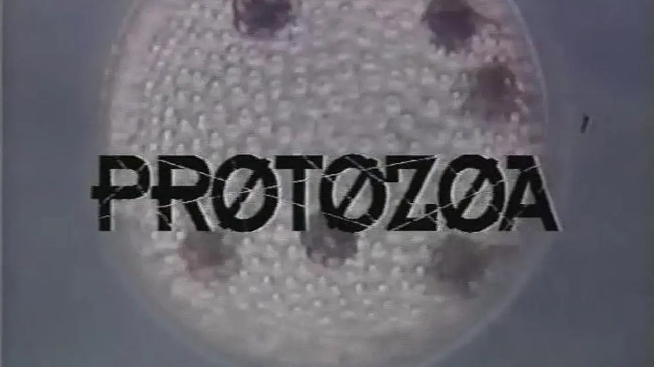 Protozoa backdrop