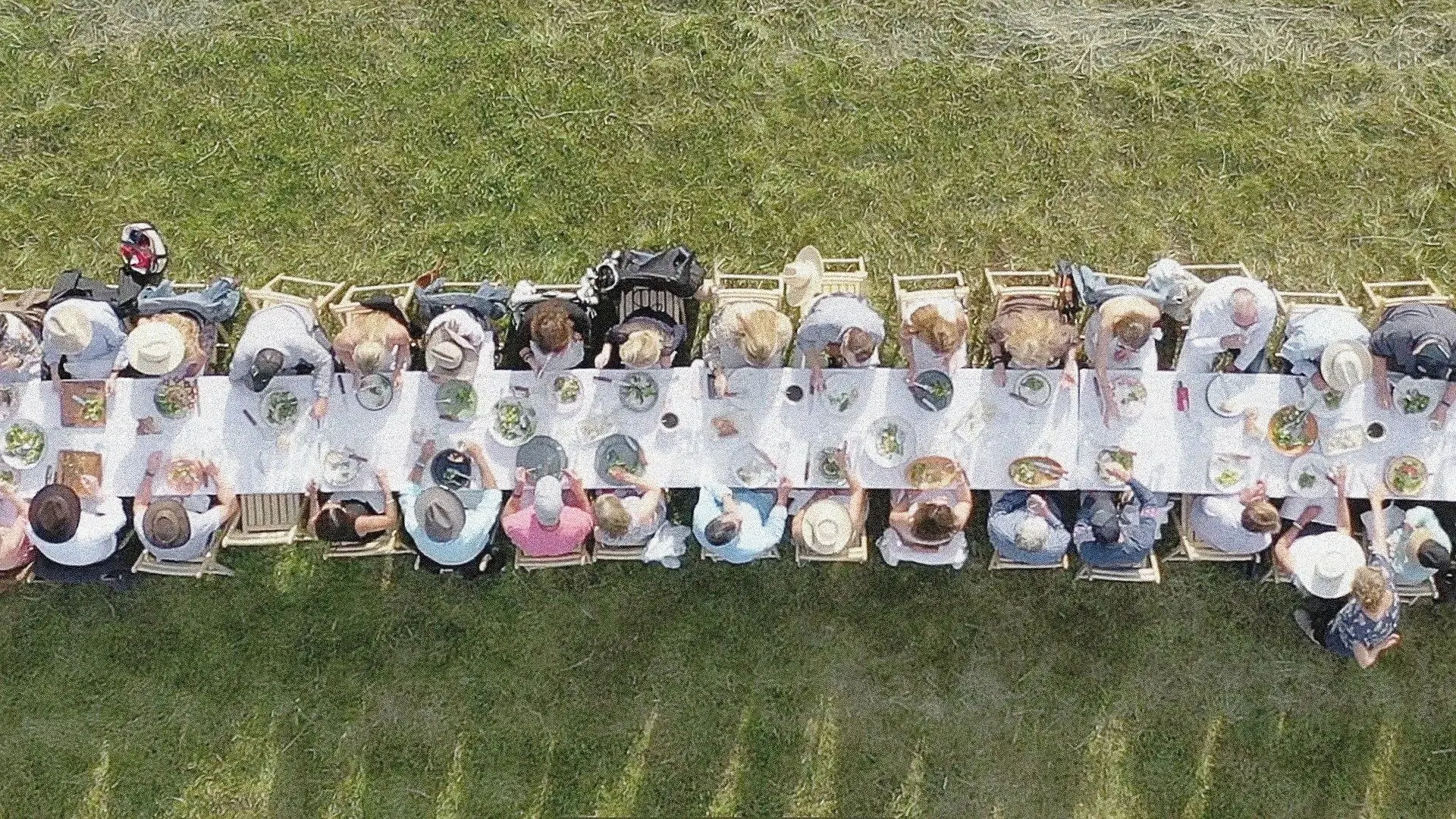 Man in the Field: The Life and Art of Jim Denevan backdrop