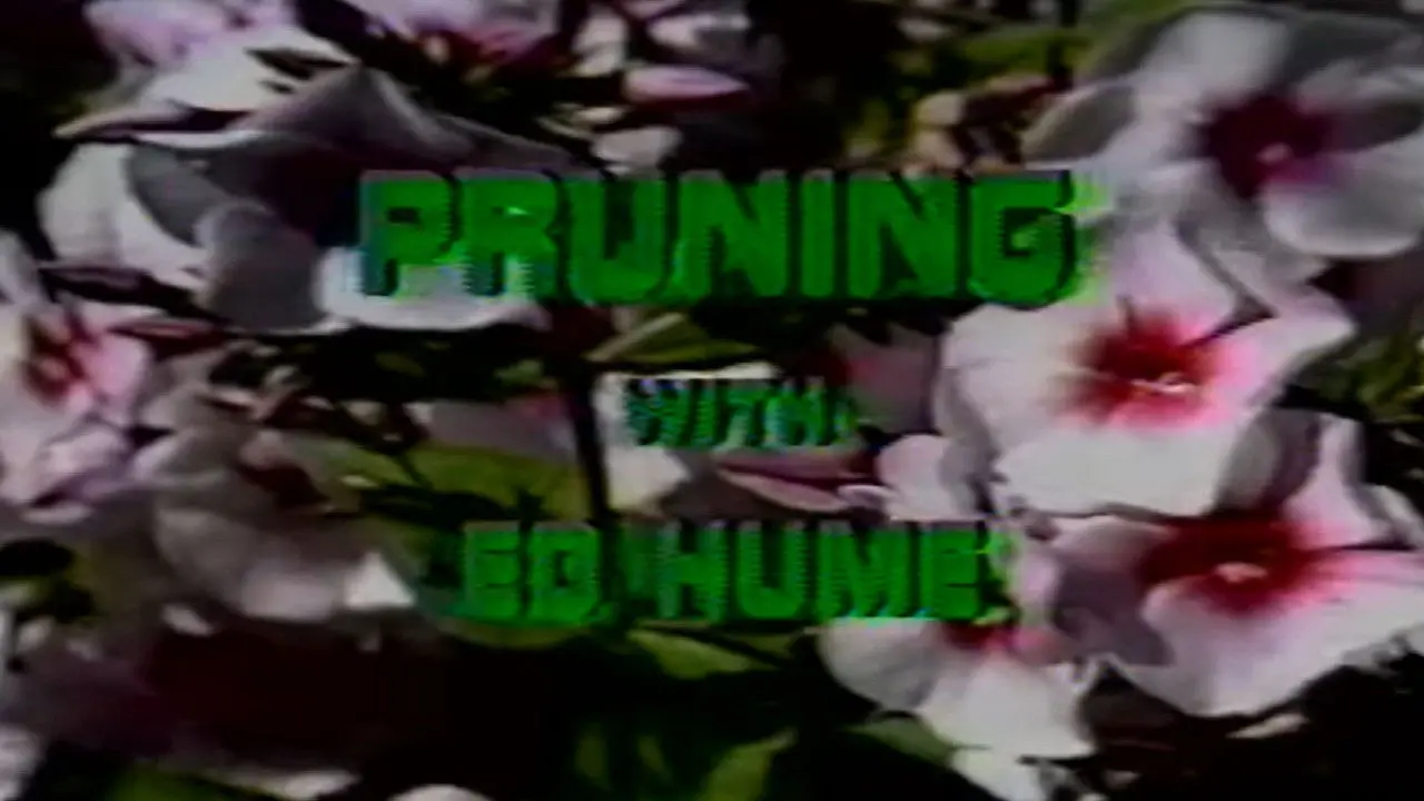 Pruning with Ed Hume backdrop