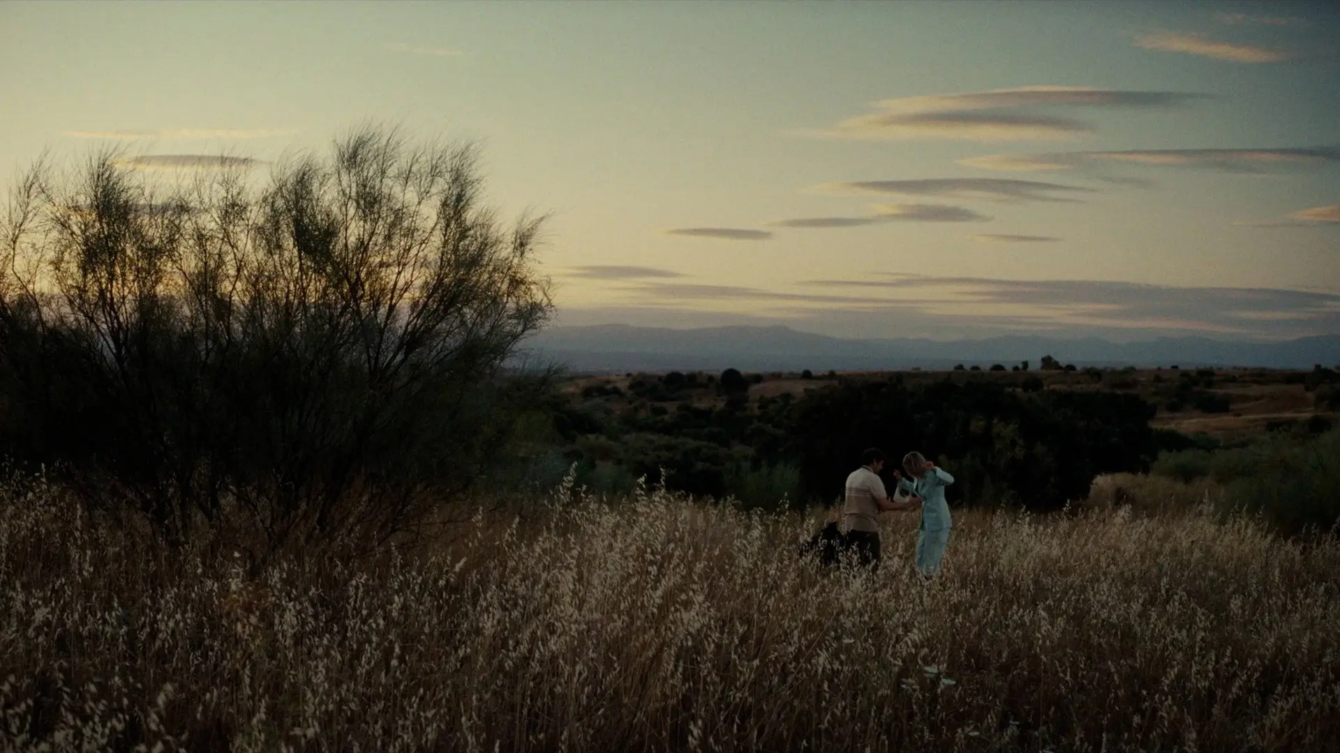 Nothing Personal backdrop