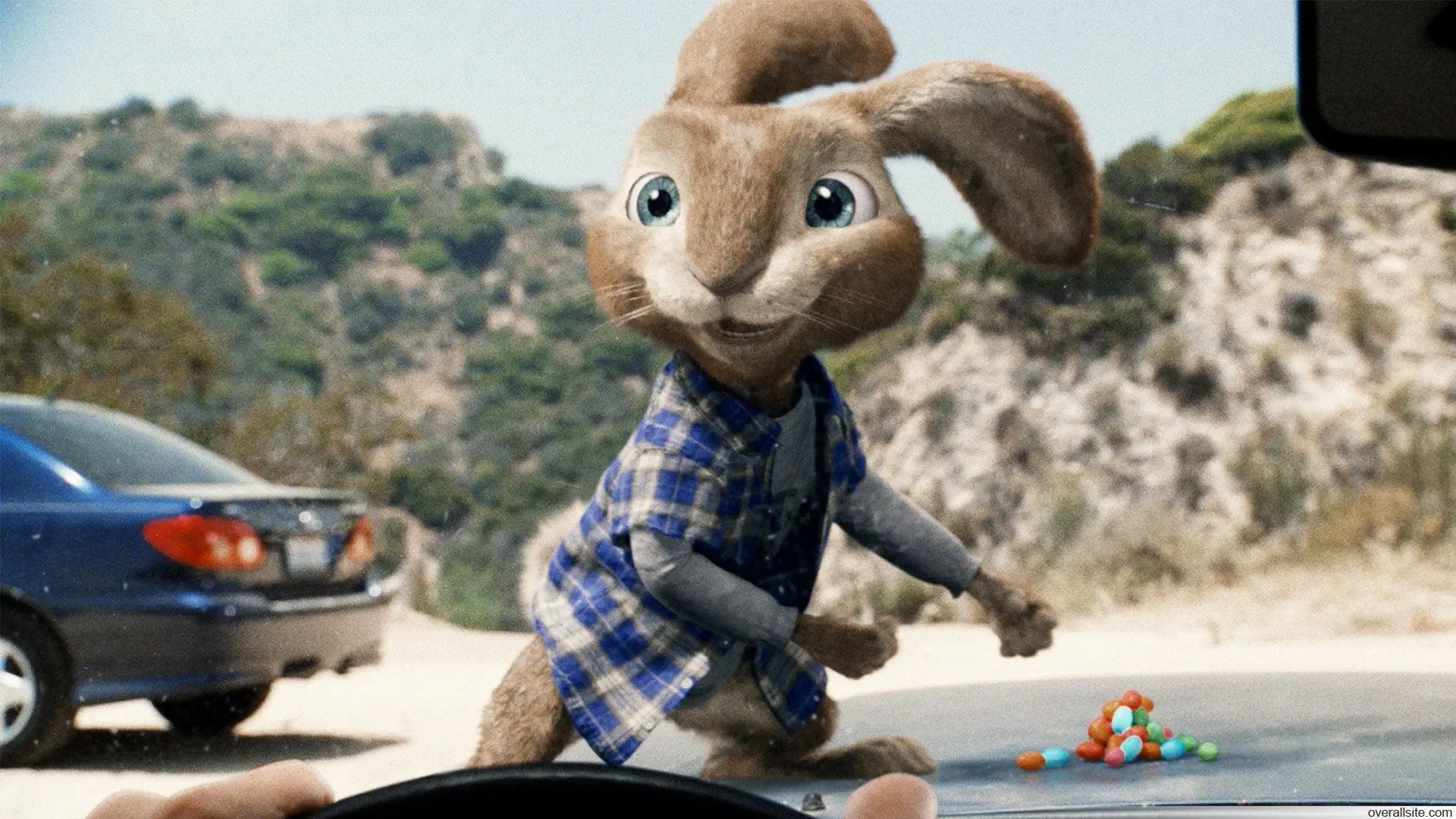 Hop backdrop