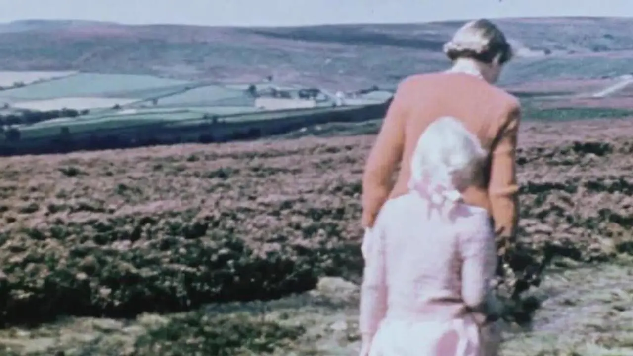The Yorkshire Moors backdrop