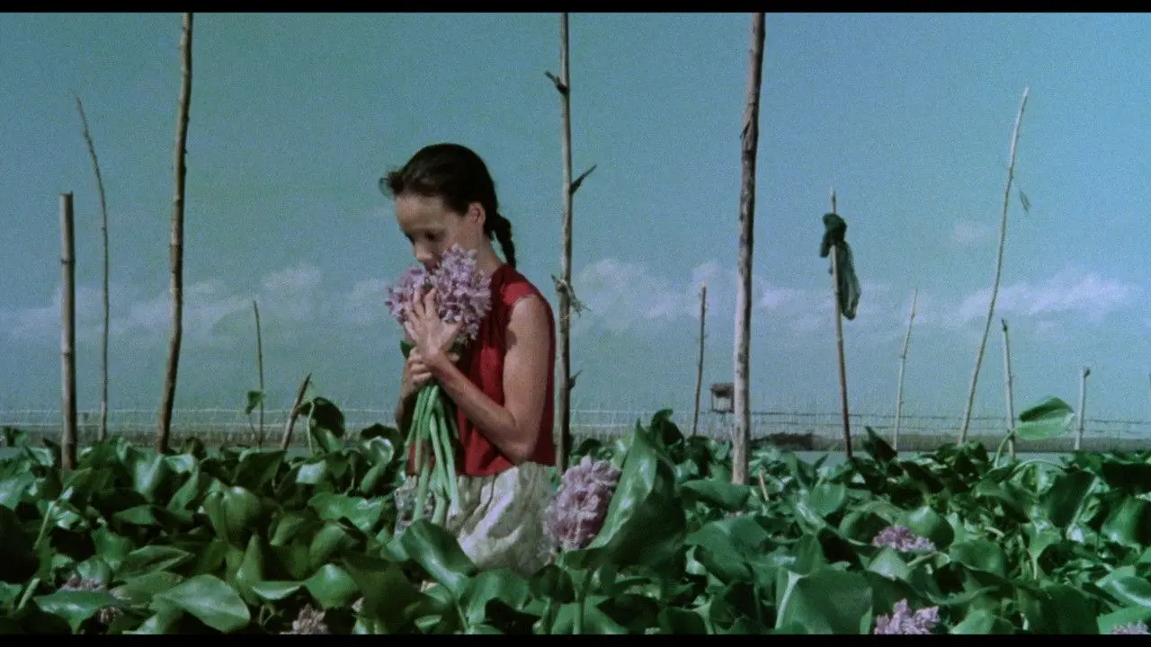 A Speck in the Water backdrop