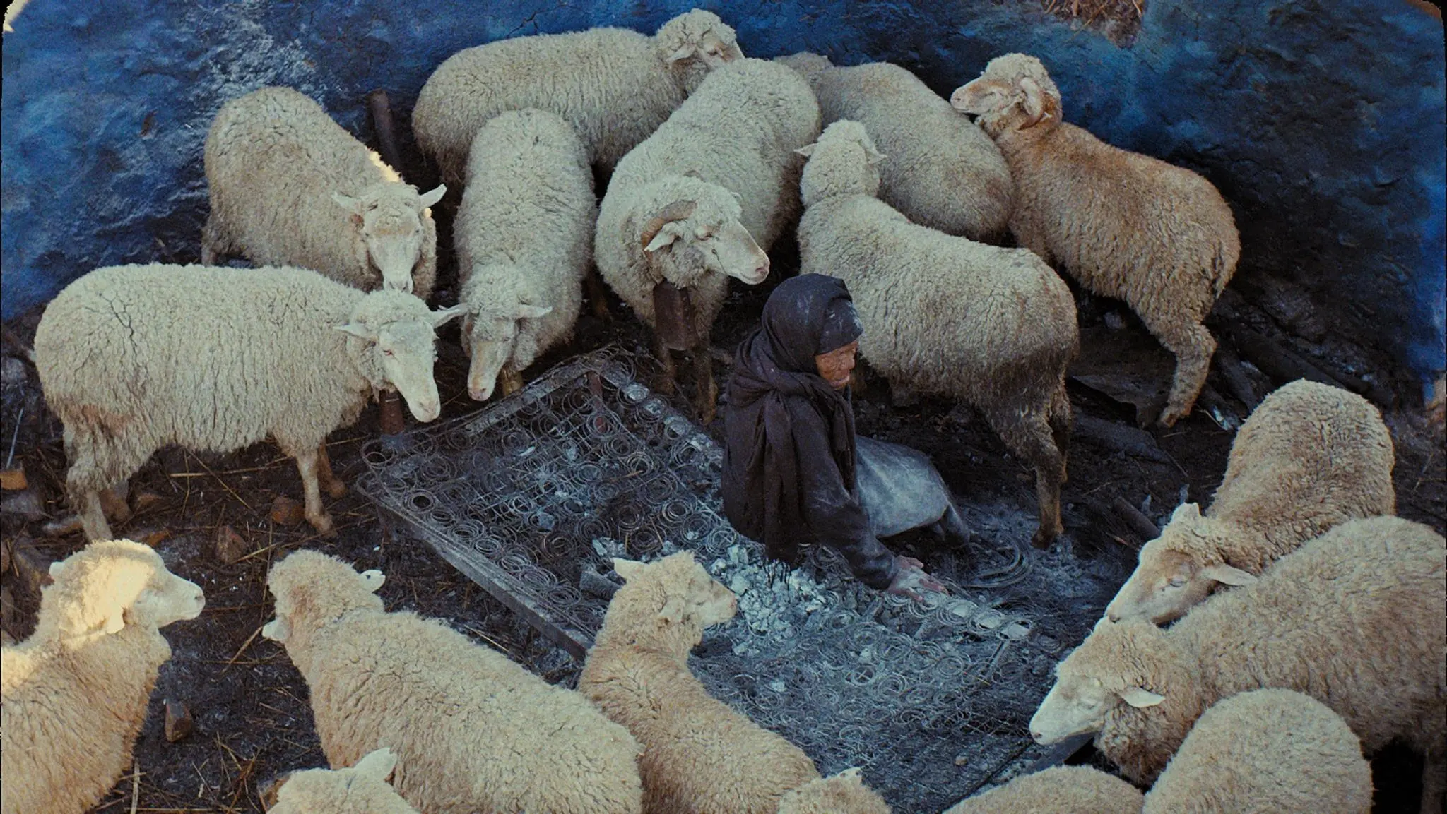 This Is Not a Burial, It's a Resurrection backdrop